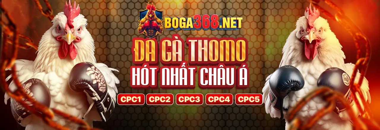 Đấu trường đá gà kịch tính tại bigbet trang chủ chính thức